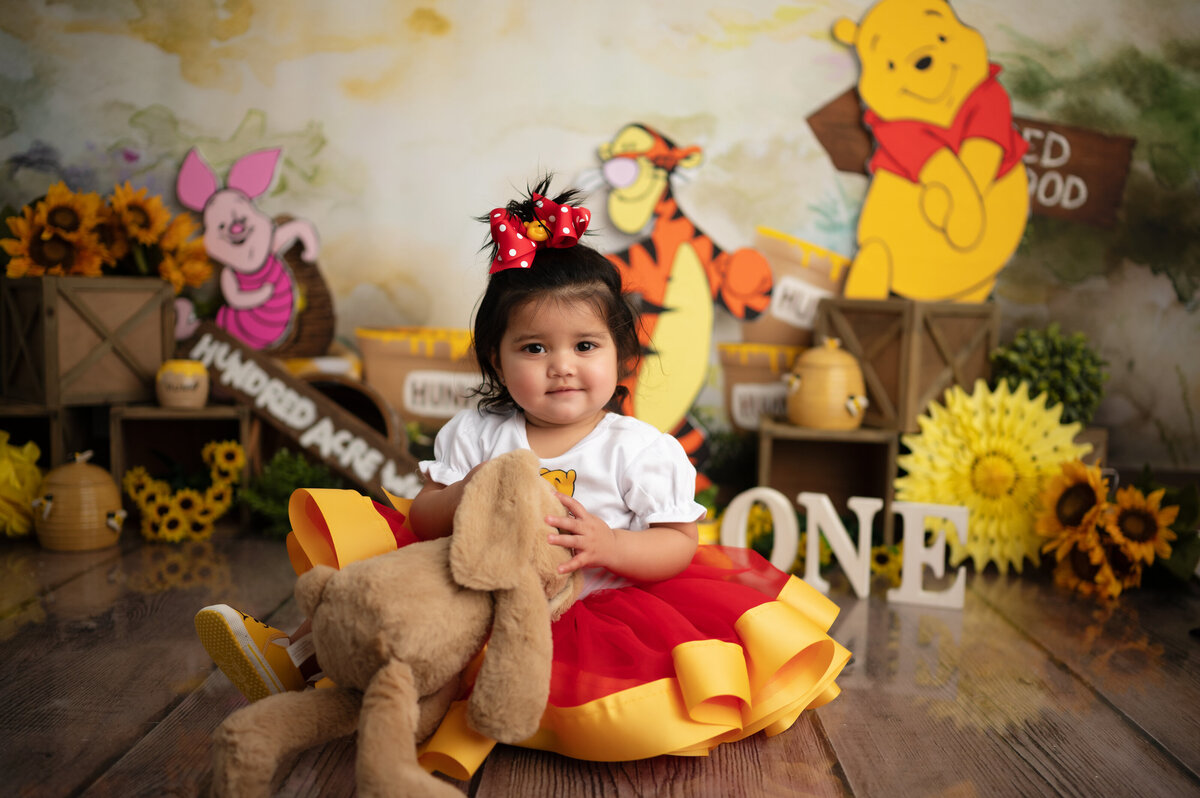 winnie the pooh one year pictures