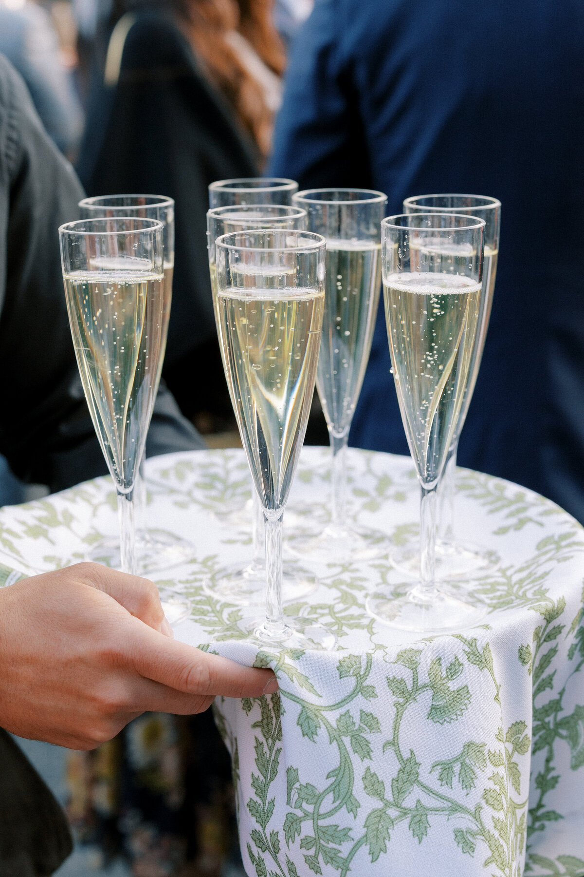 Elm Bank Wedding-By Halie Wedding Photography-AE20240908-PREVIEW-67