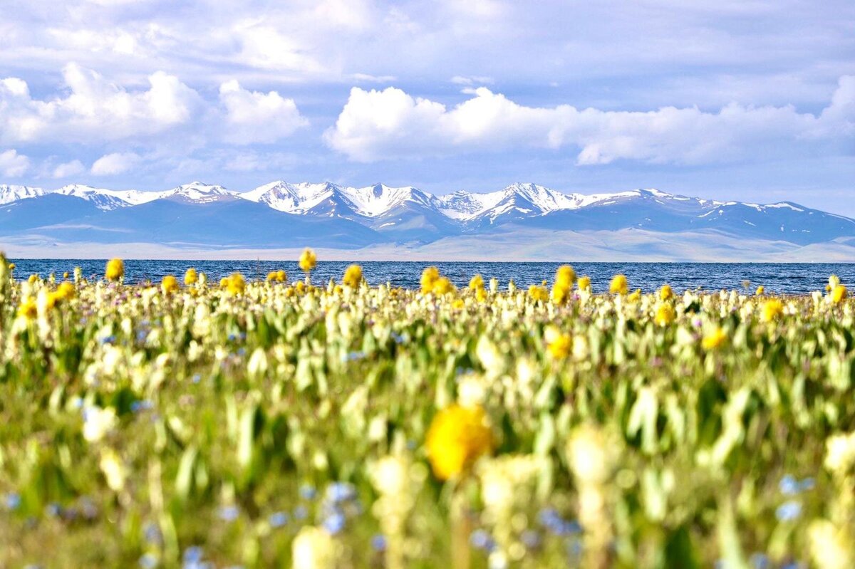 Kyrgyzstán 4