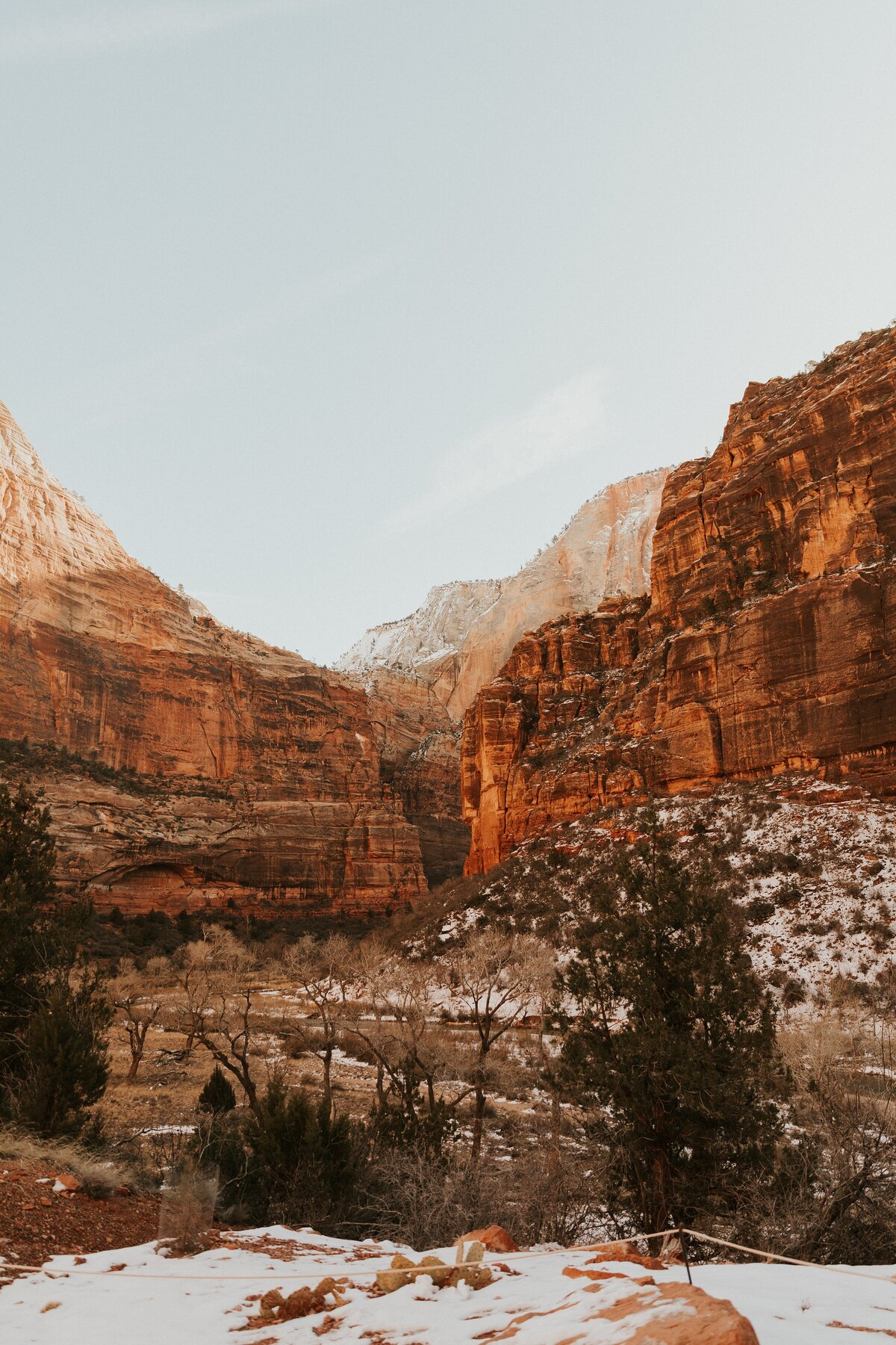 Zion-National-Park-26