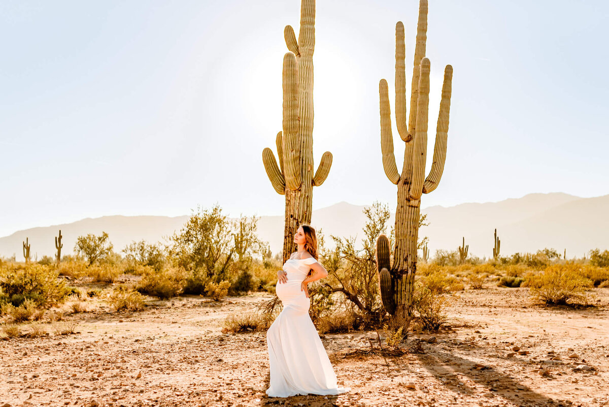 saguaros in AZ with mom-to-be captured by photographer Amber