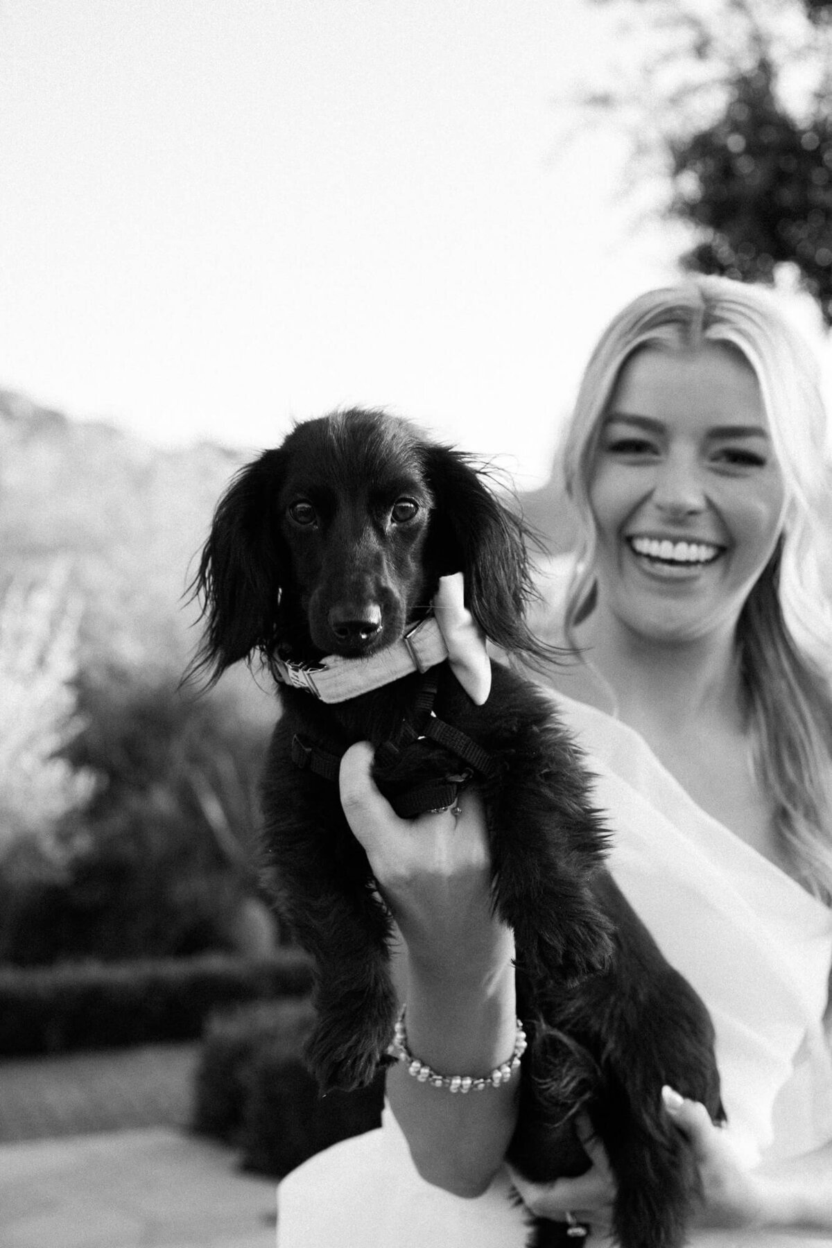Bride laughing while holding her small black dog during outdoor portraits, captured by Phoenix wedding photographers at El Chorro.