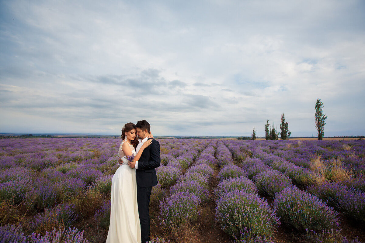 lavender-wedding