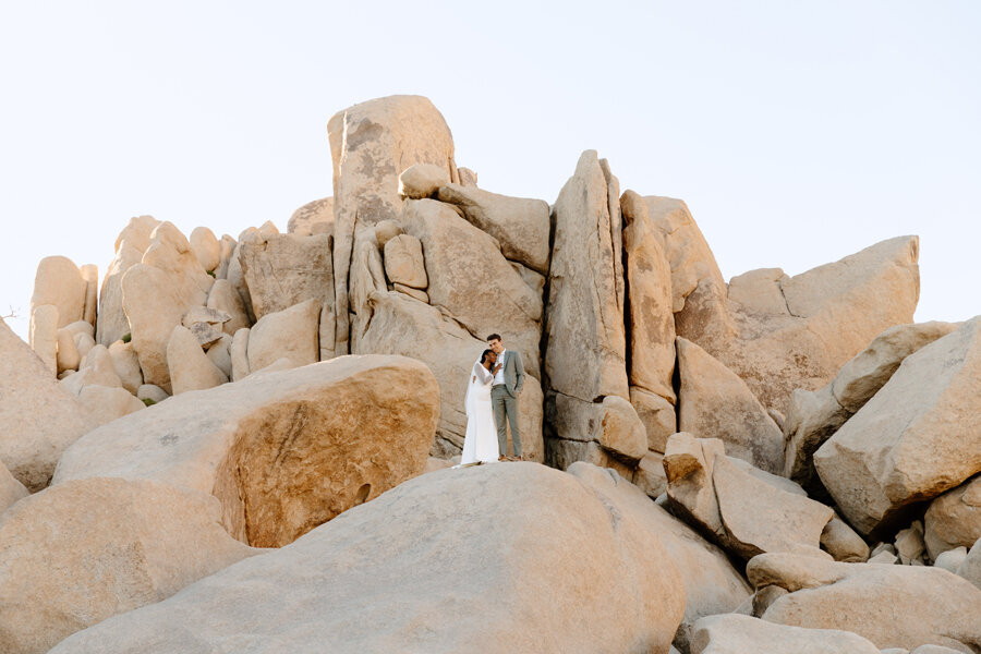 joshua-tree-wedding_6814