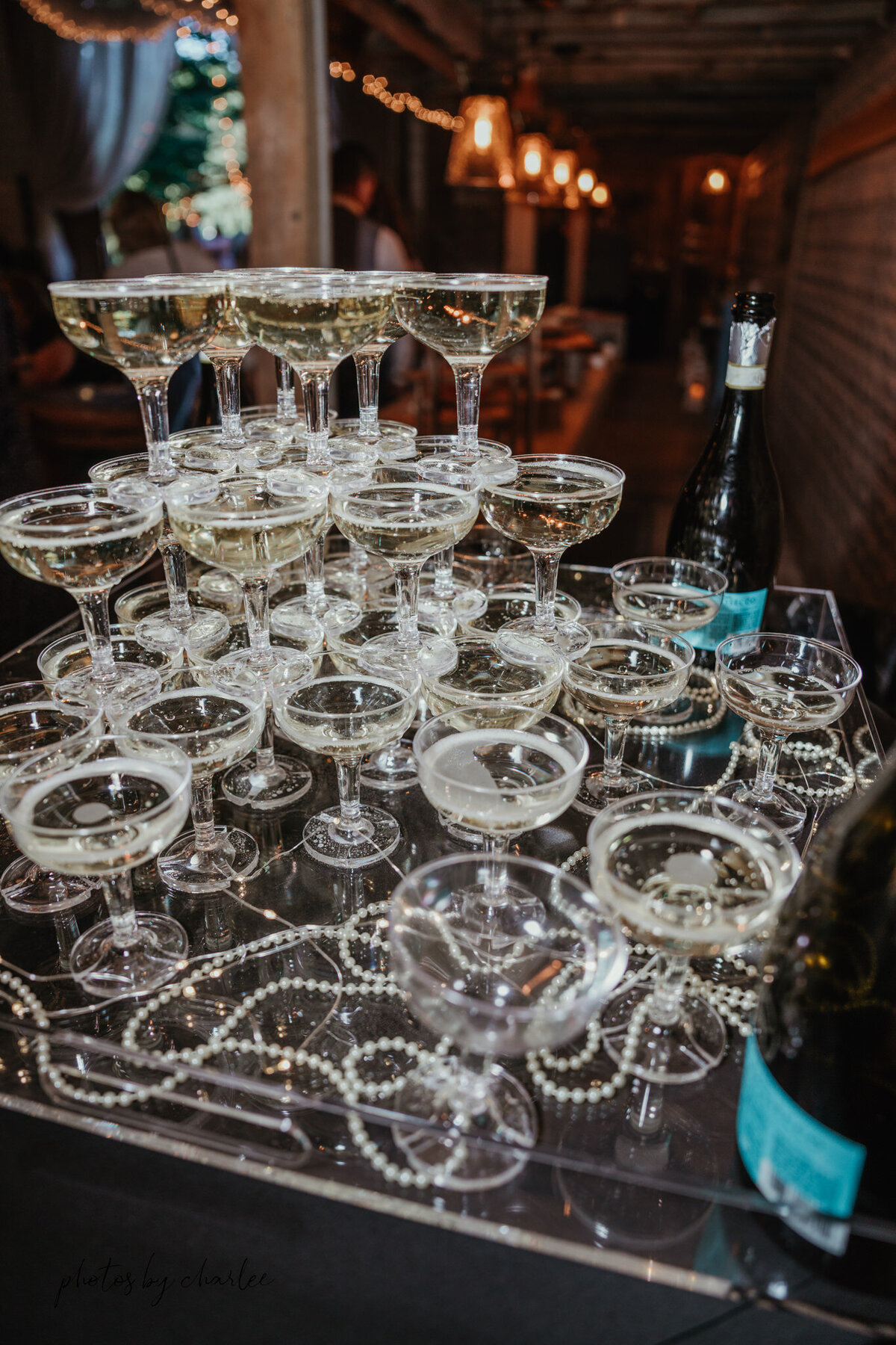 wedding venues upper peninsula-74