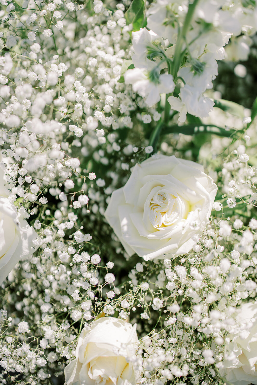 raven-alexandra-signature-weddings-calgary-banff-jasper-alberta-saskatoon-saskatchewan-luxury-wedding-planner-k-and-w-wedding-541
