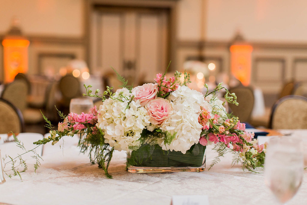 David&Christina446