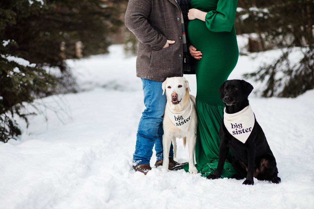 anchorage-maternity-photographer-36