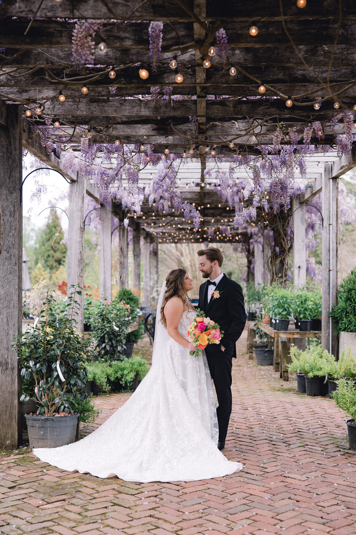 market at grelen wisteria