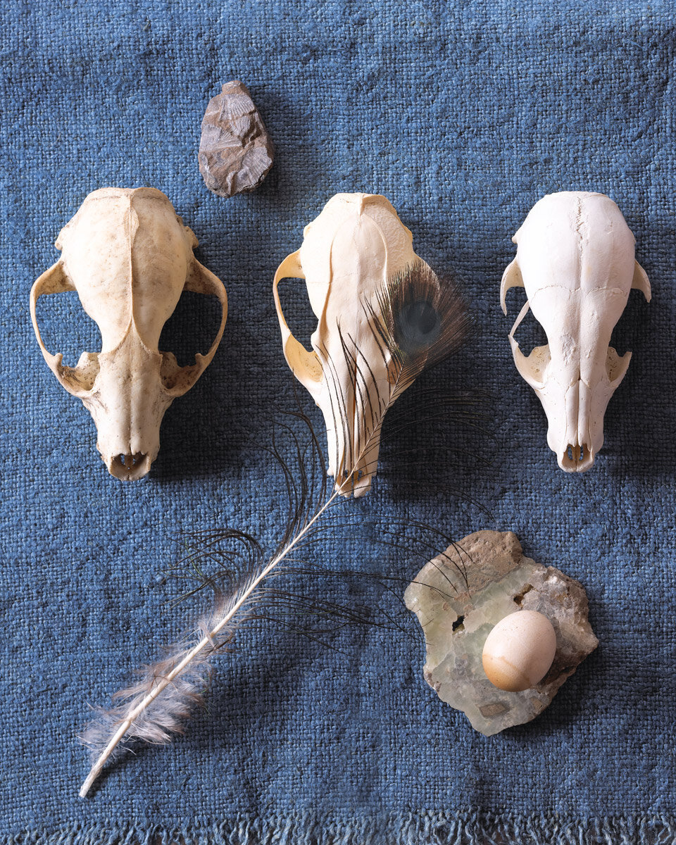 PORTFOLIO_031111_002-Edit