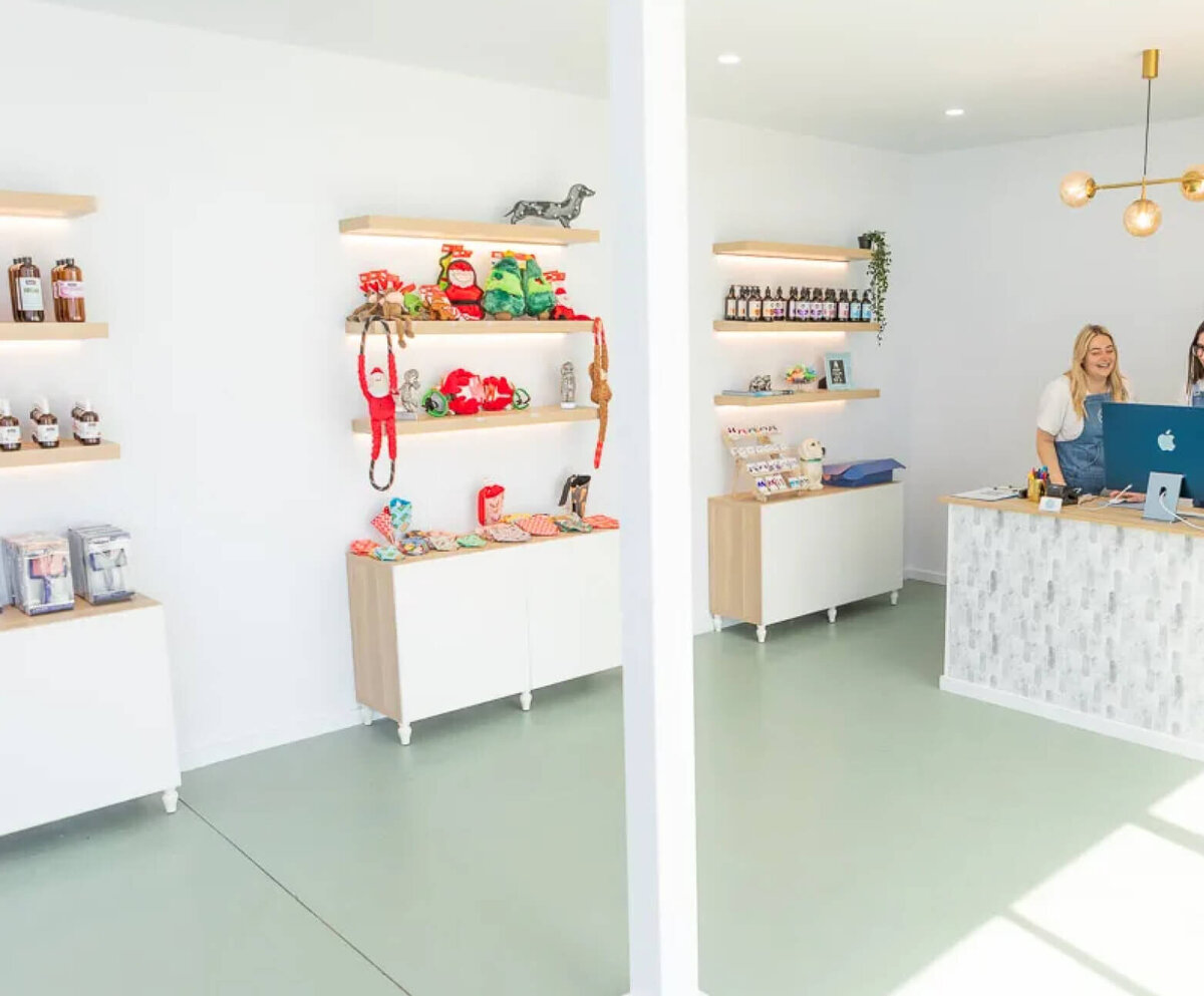 Big Paws Little Paws Dog Daycare 7