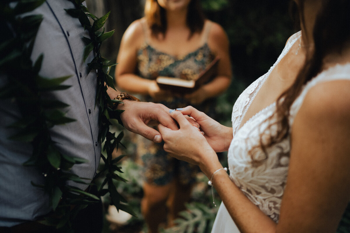 Hawaii-Wedding-Photographer-00539