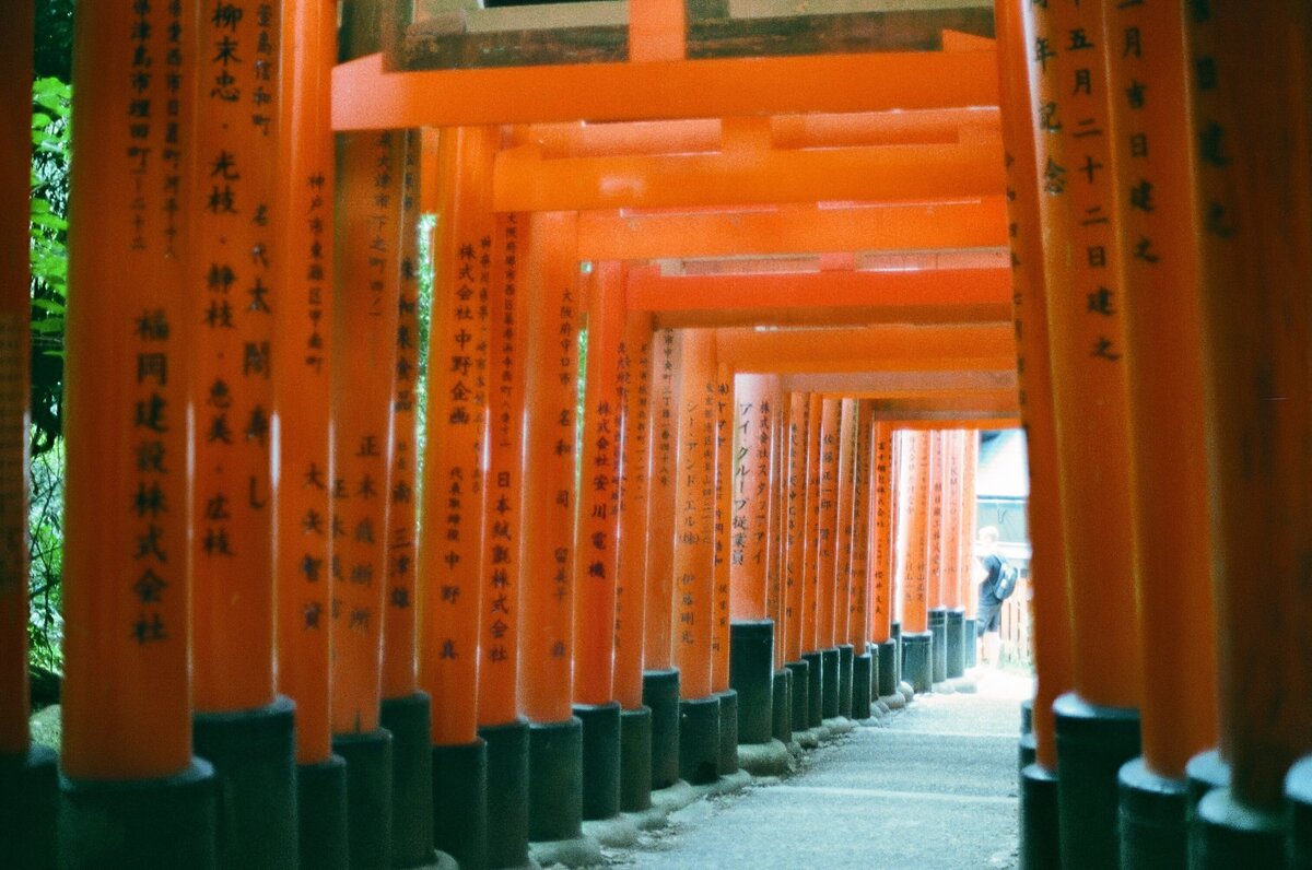 Rainstone Photography 241031 Japan & Seoul Trip-45