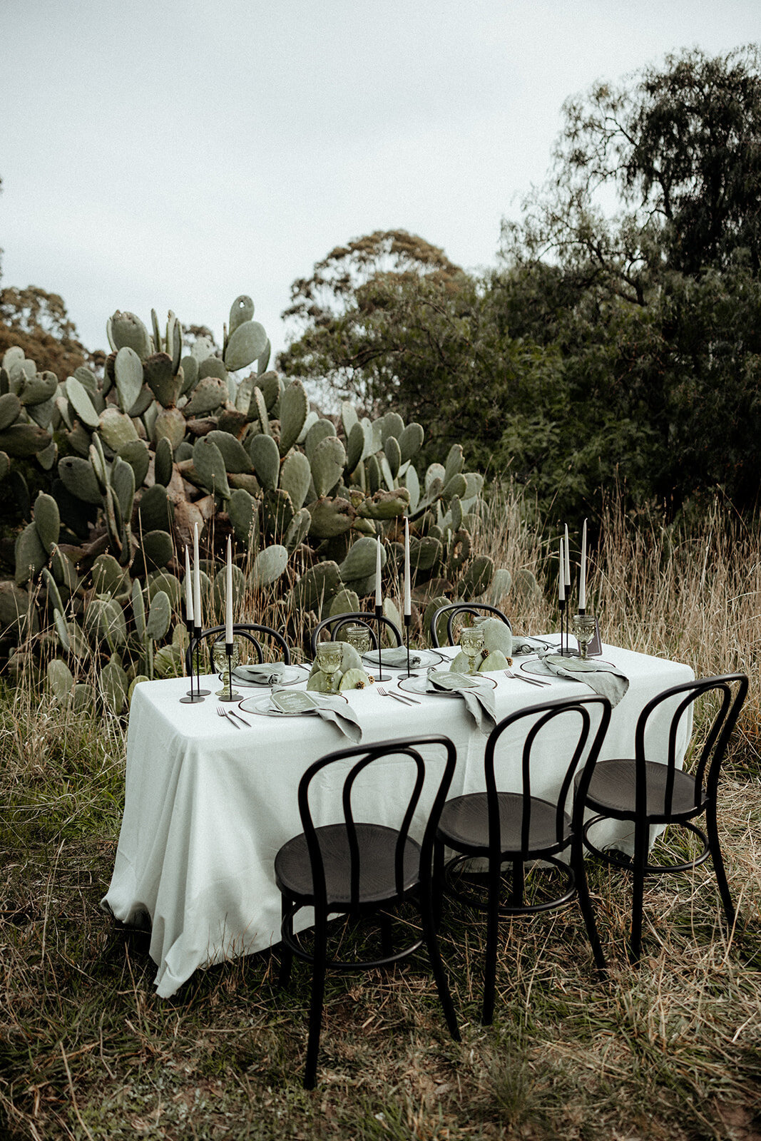 Maegan-Brown-Moments_220525_Waranga-Styled-Shoot_0043