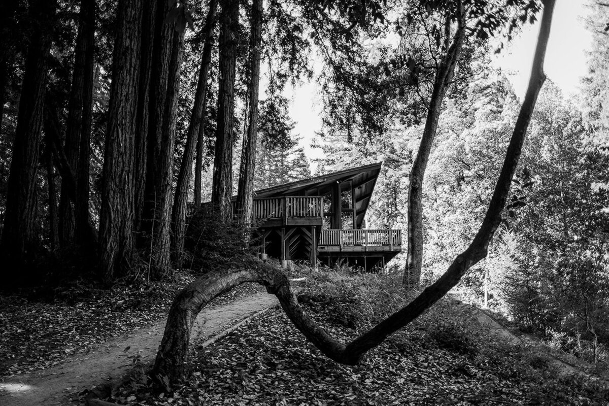 Sequoia-Retreat-Center-Romantic-Woodland-Wedding-1