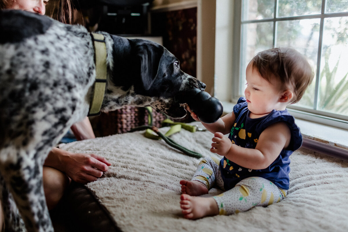 houston-newborn-photographer-69
