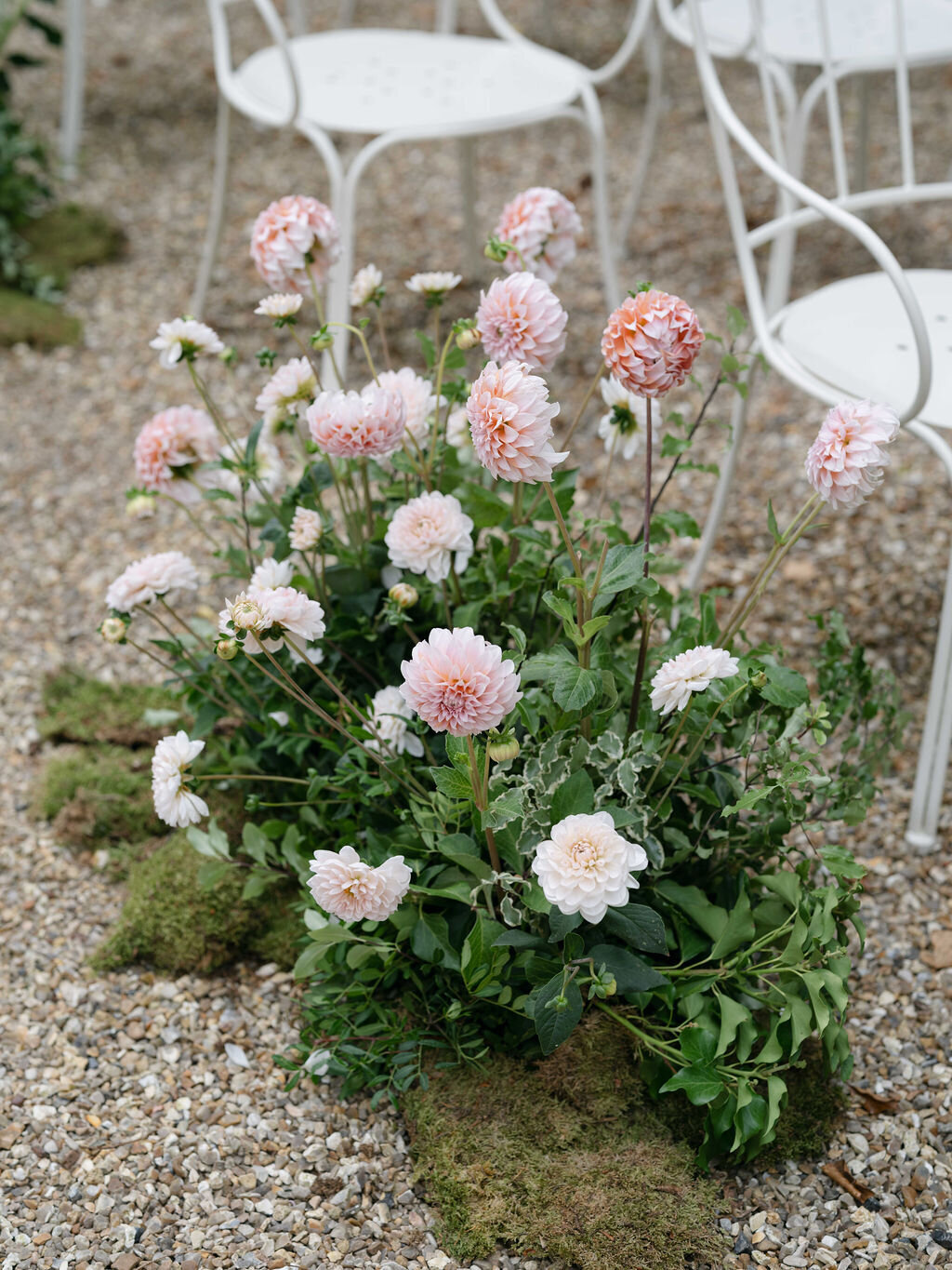 Abbaye des Vaux de Cernay-florist-Floraison21