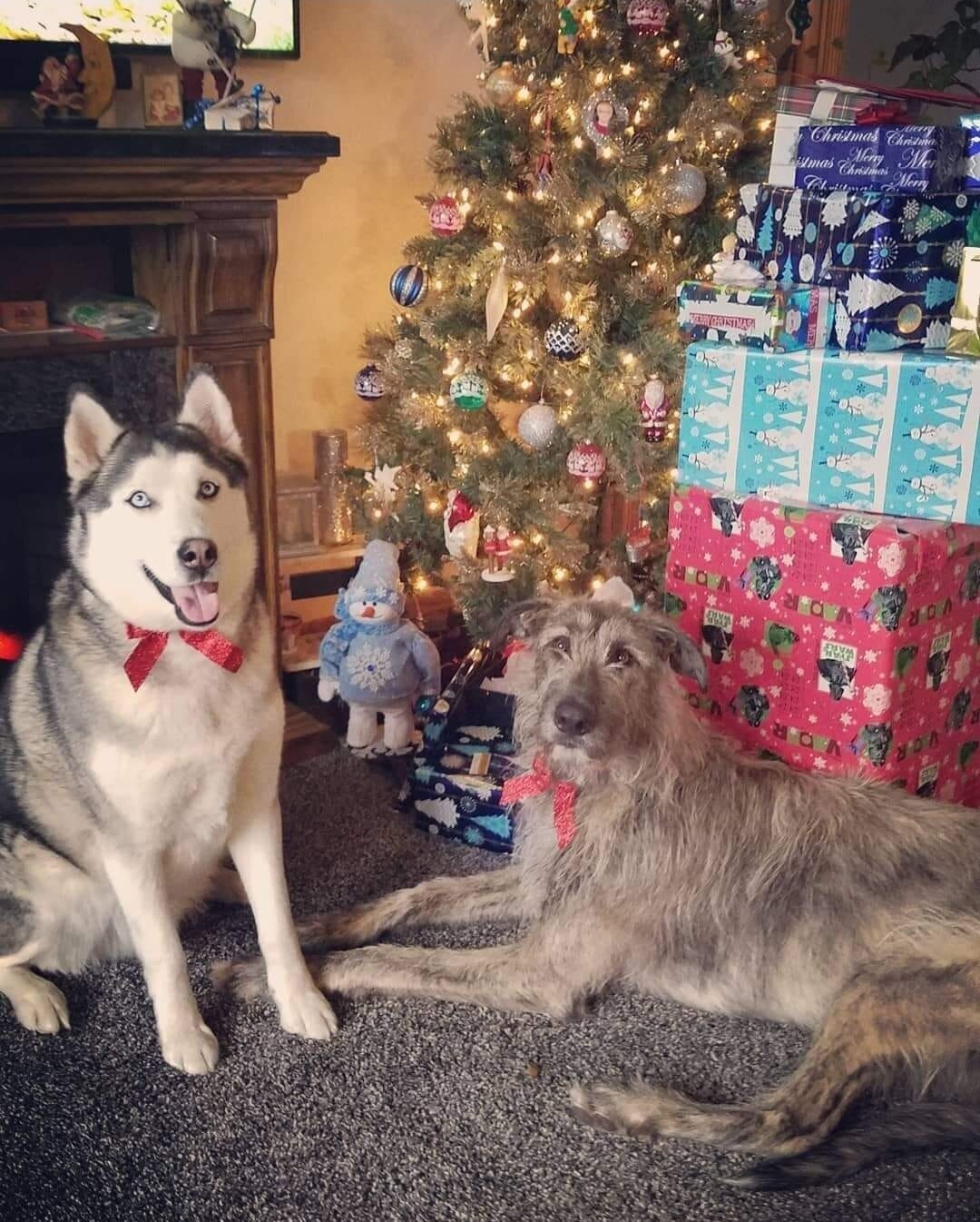 Christmas1