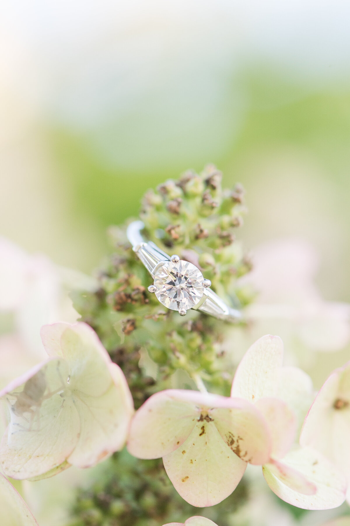 close up of engagement ring on hydrangea
