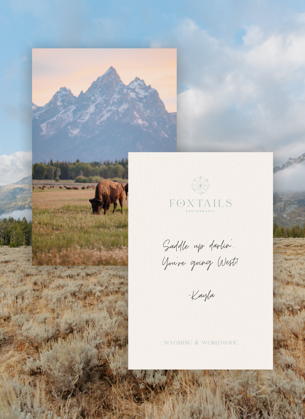 Foxtails Photography Postcard (1)