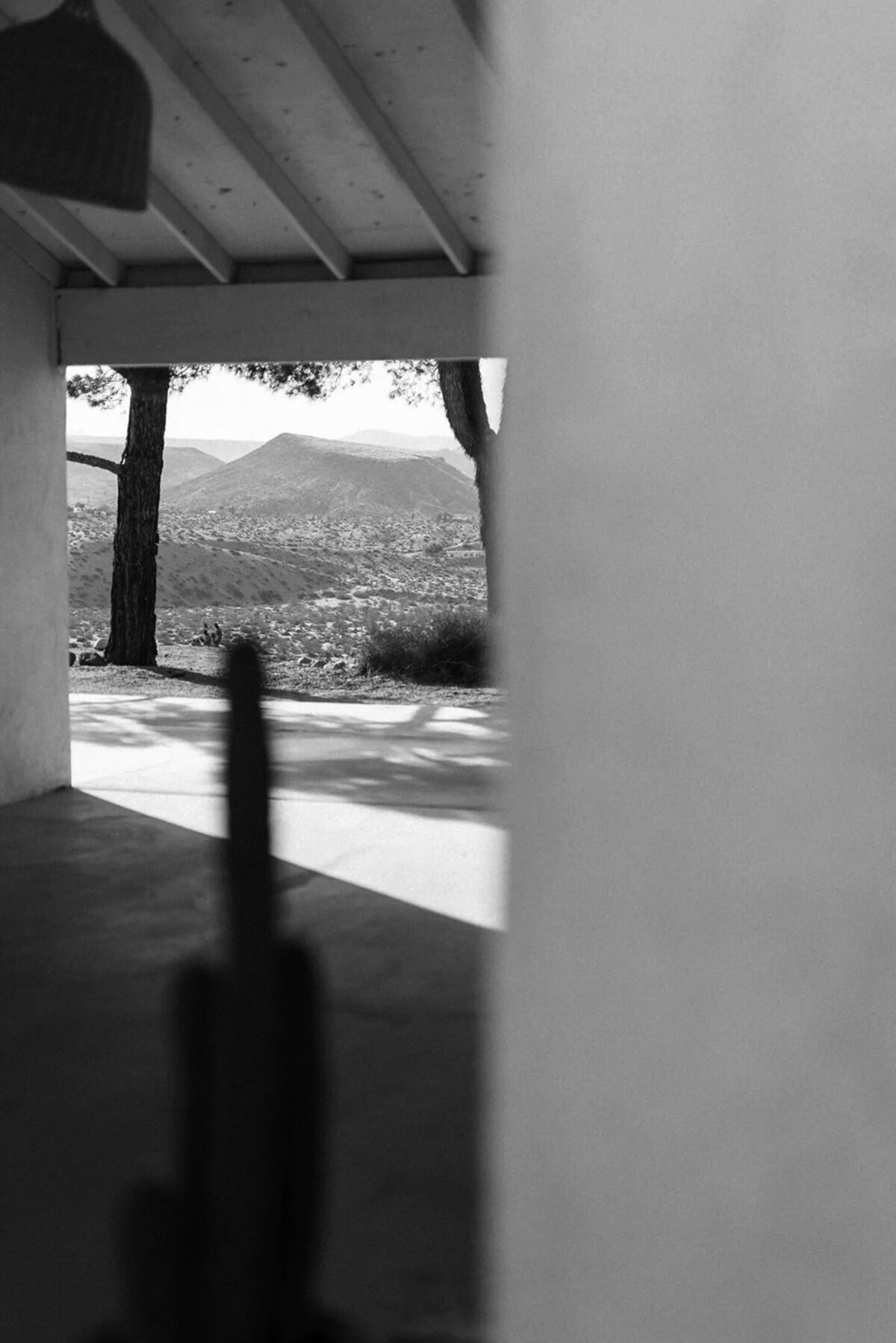 le-chacuel-airbnb-joshua-tree-landscape