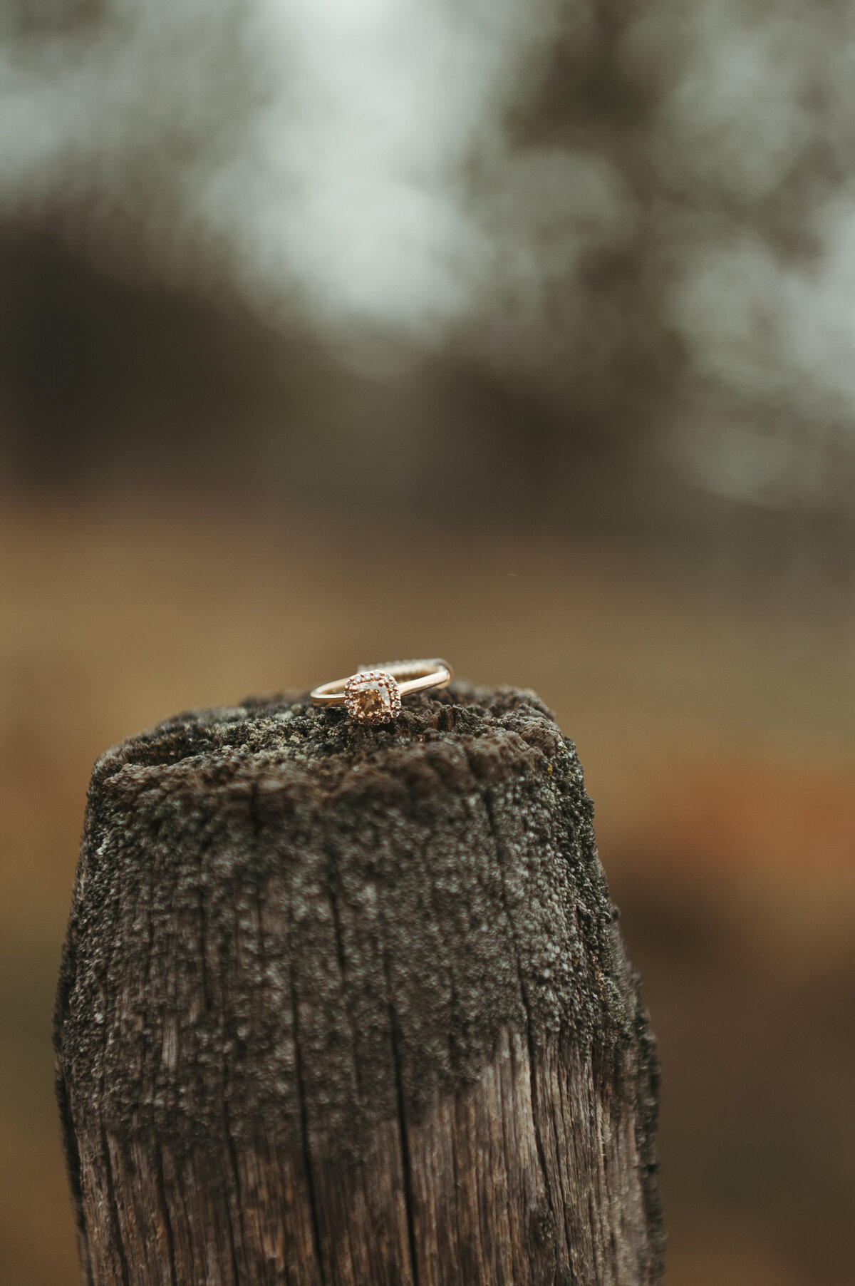 presley-gray-photo-montana-western-style-engagement-4870
