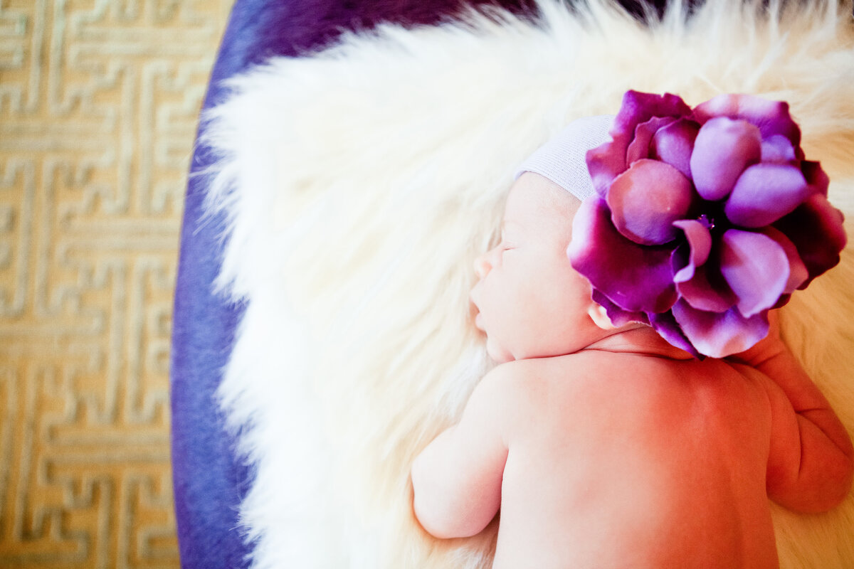 Gillian-Sherry-Photography-16