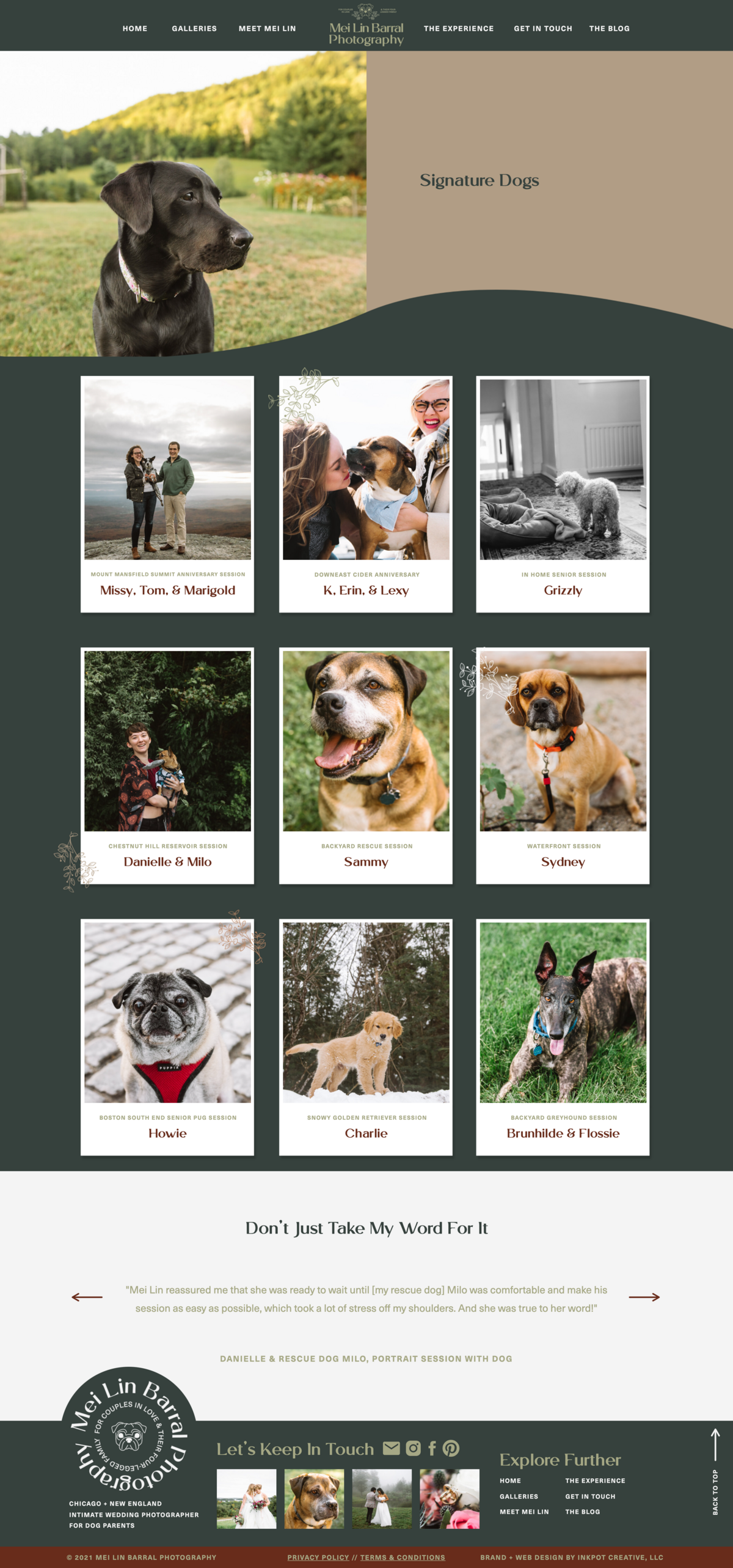 screenshot of full dogs gallery page