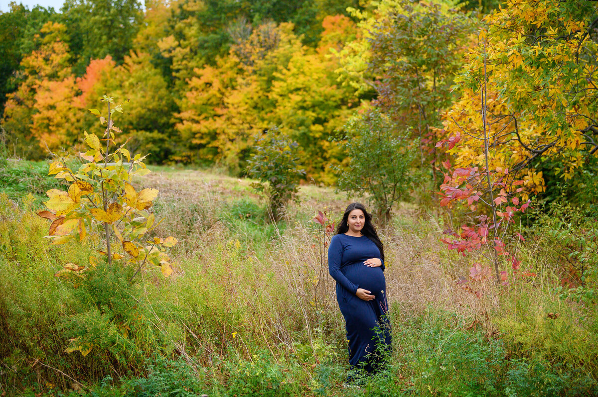 pregnant woman wearing a navy blue maternity dress with the fall foliage behind her.
