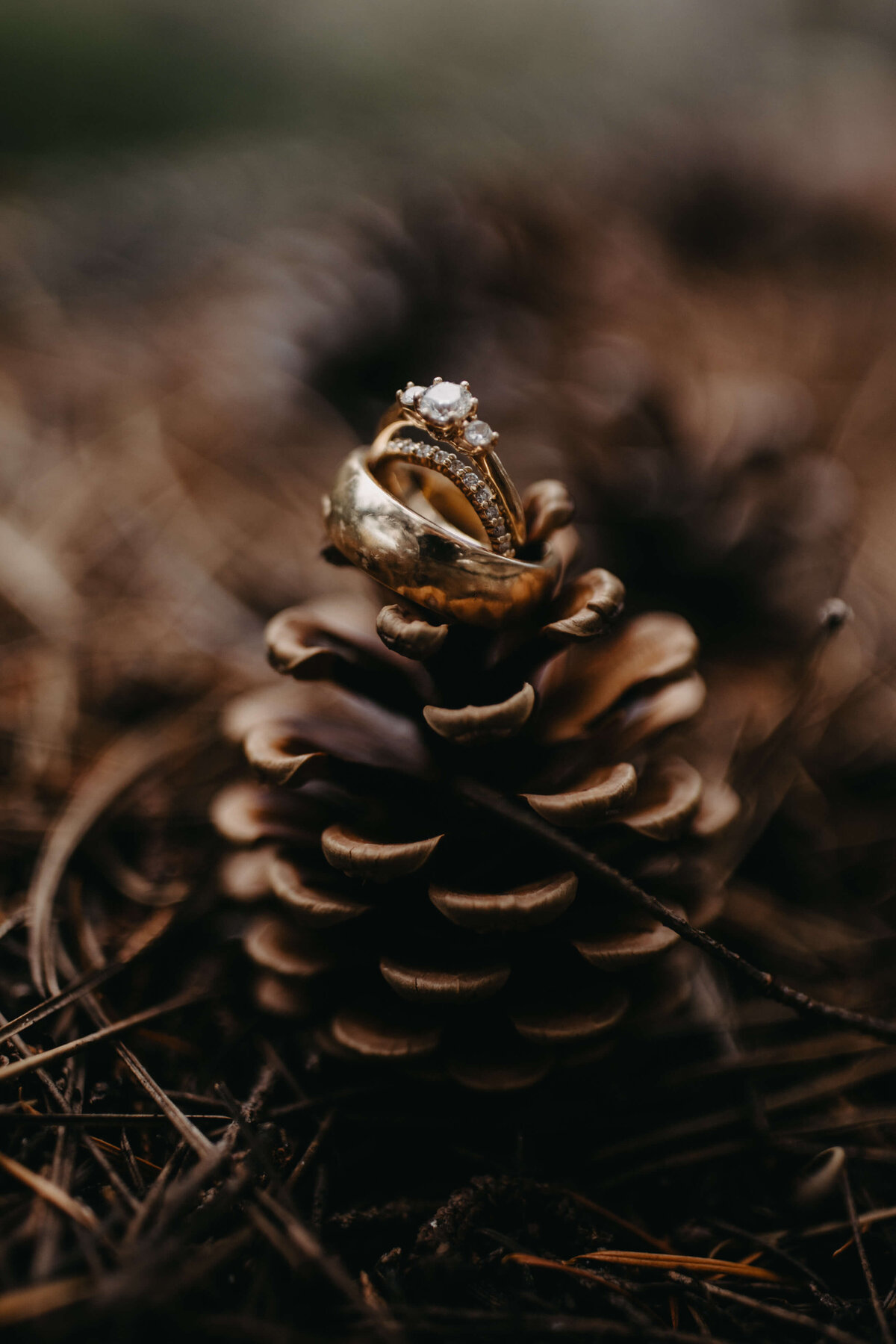 wedding-photographer-vancouver-canada-00157