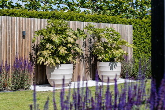 805E6F2B-502E-4707-8732-E9FE6CFADC6C_4_5005_c