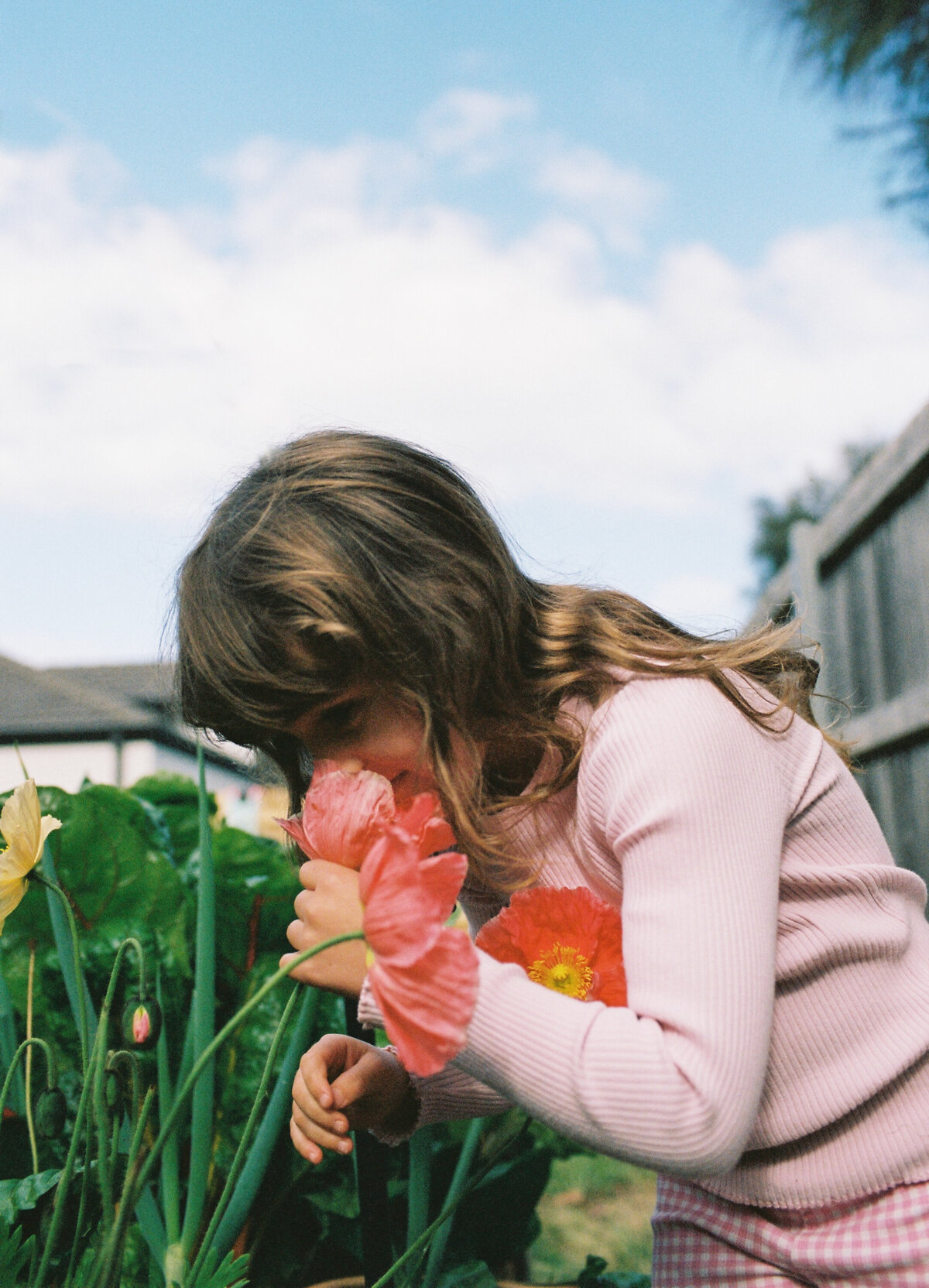 torquay-home-family-photoshoot-bobby-dazzler-photography-on-film-11