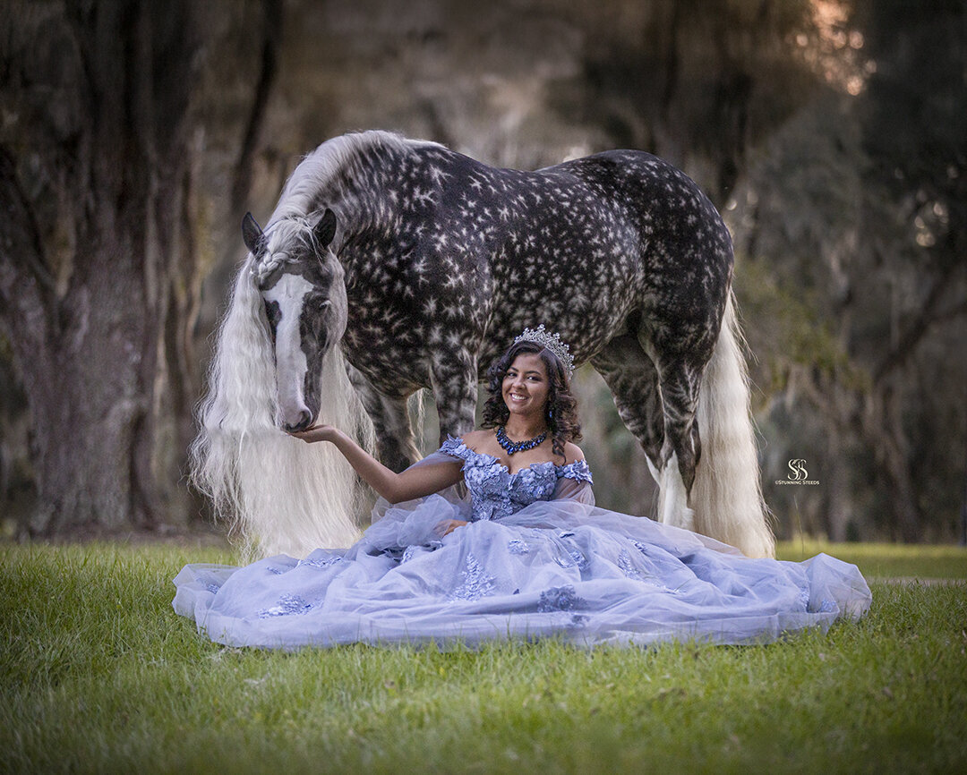 AA0I3765©StunningSteedsPhoto