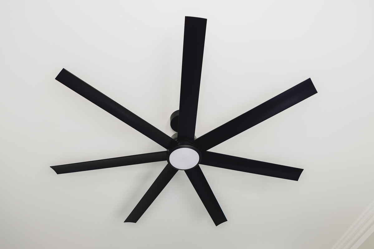 Black Ceiling Fan stands out 
