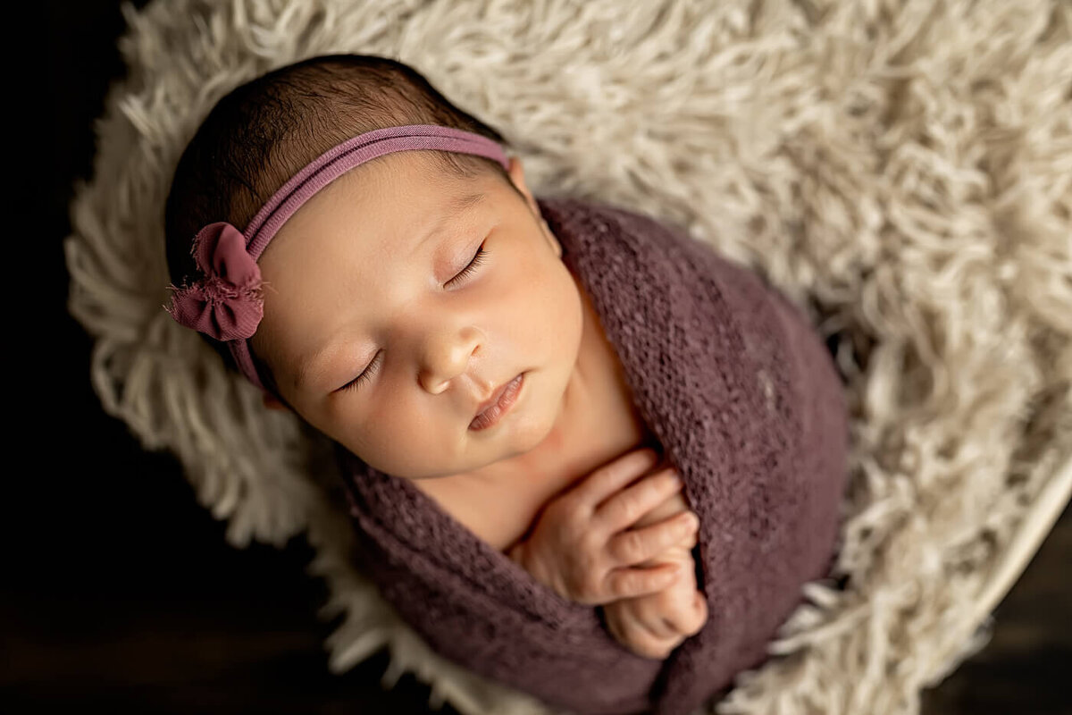 newborn-family-toddler-session-bloomington-illinois-11