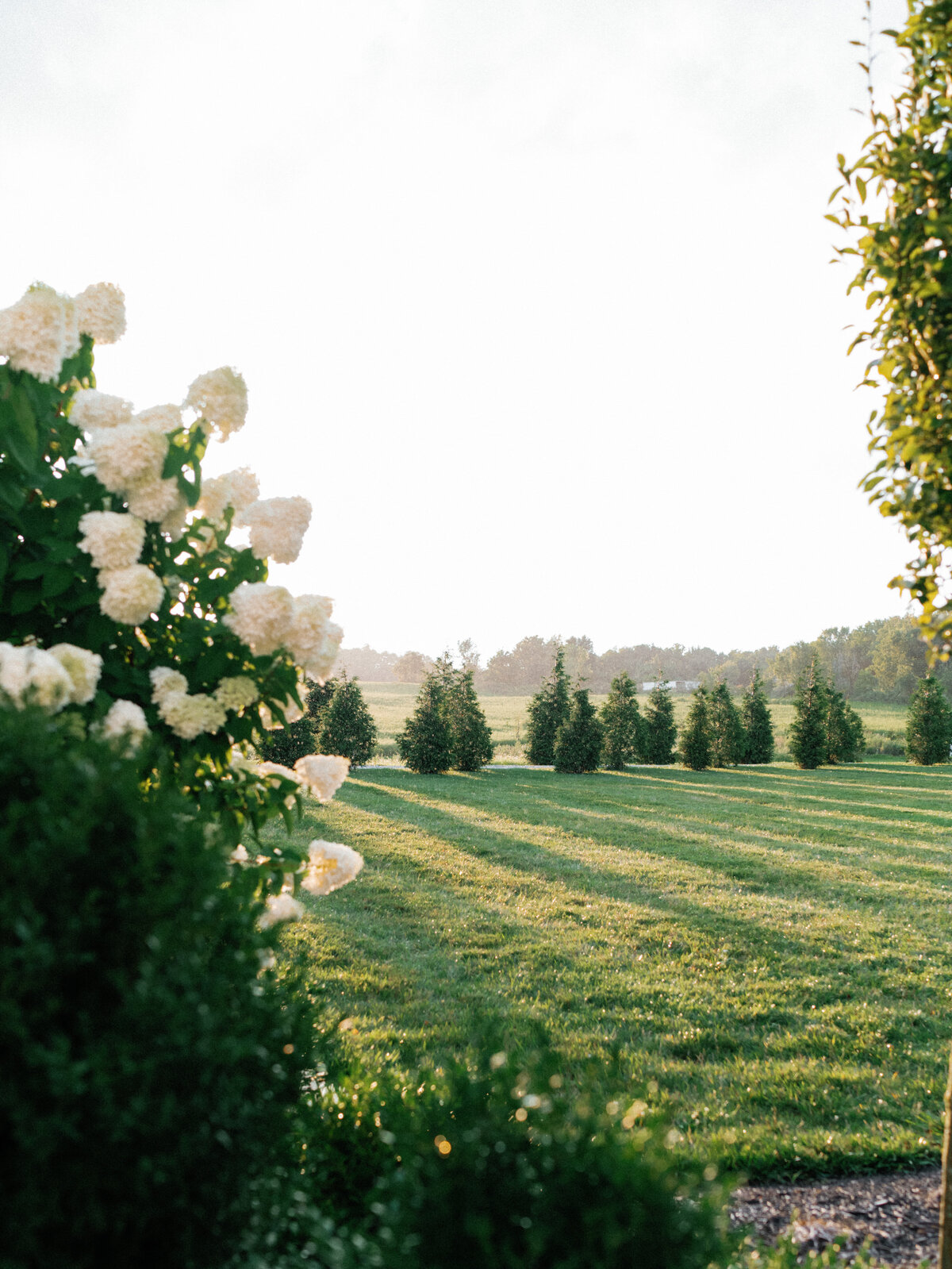 Breanna & Jarret_Magnolia Hill Farms-900