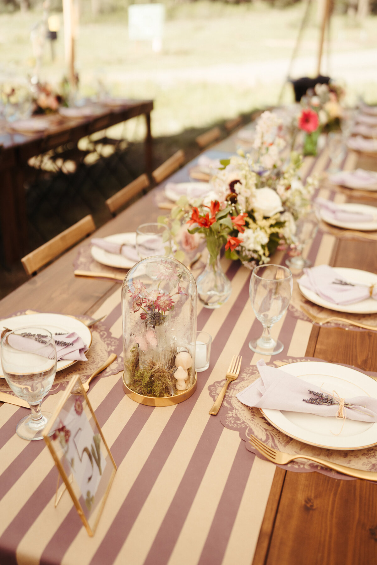 Sam-Murch-Photography-Ouray-Colorado-Summer-Tent-Mountain-Wedding-20