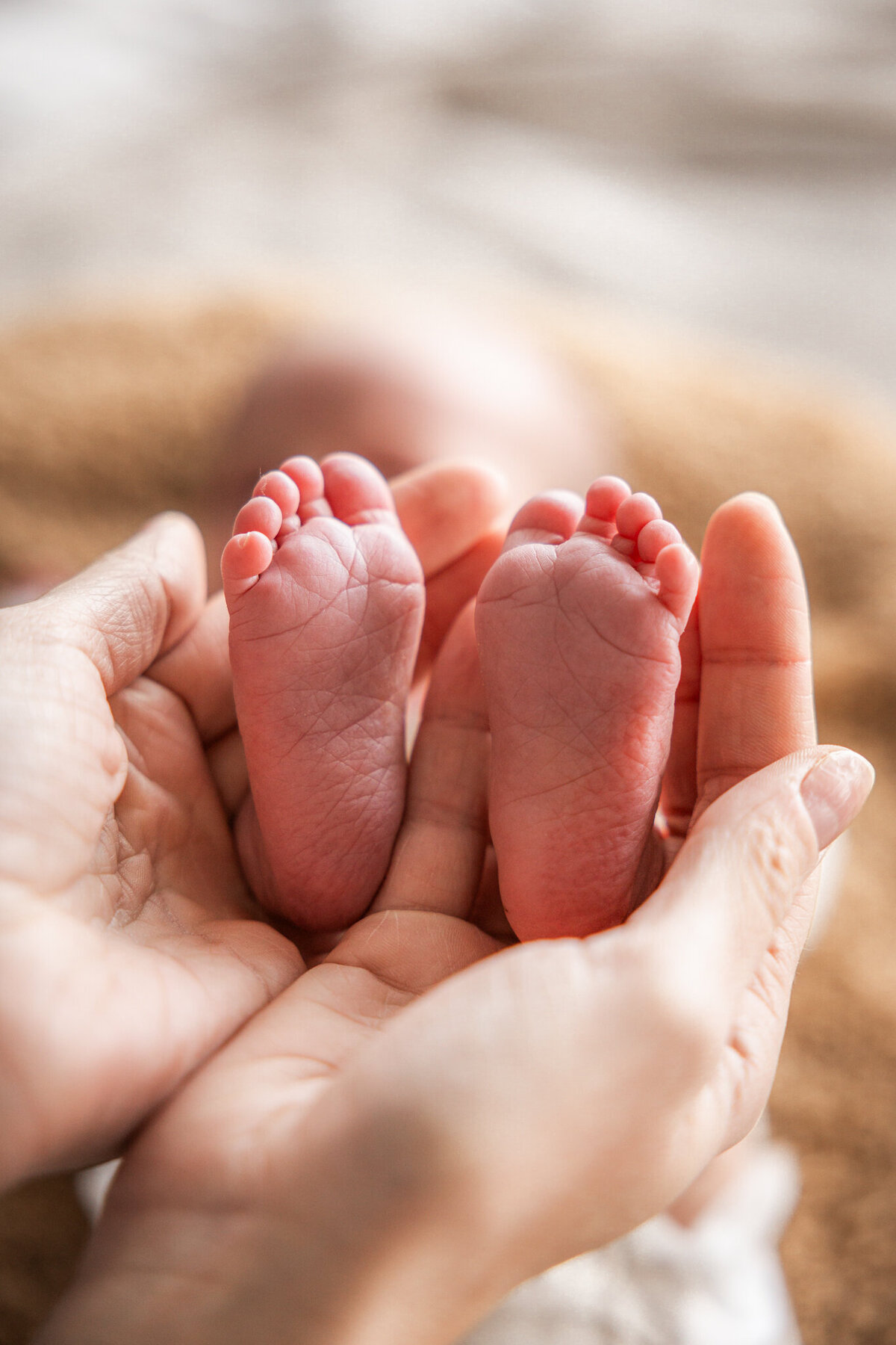 Newborn fotoshoot Zaltbommel
