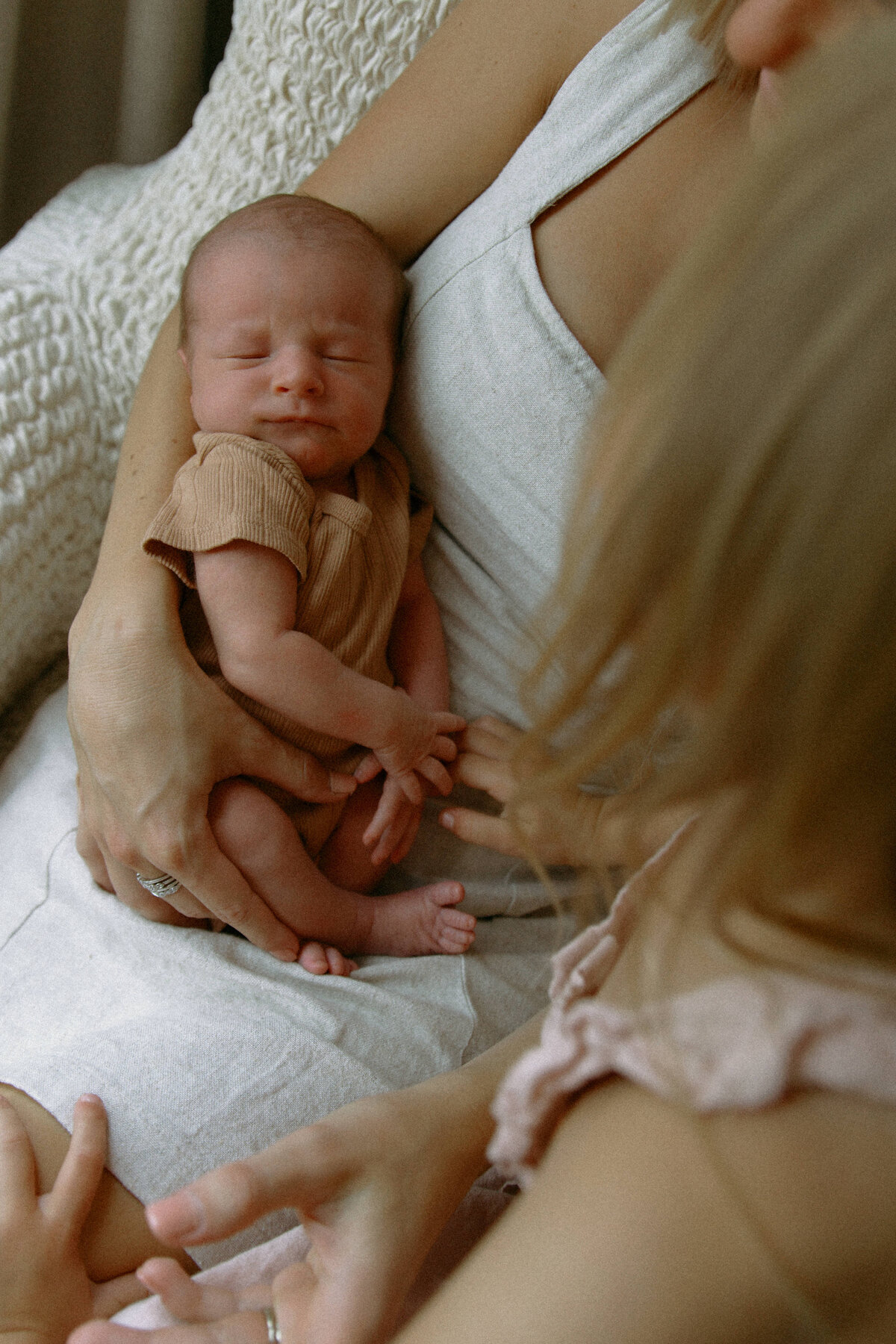 Schultz Newborn 2025-4