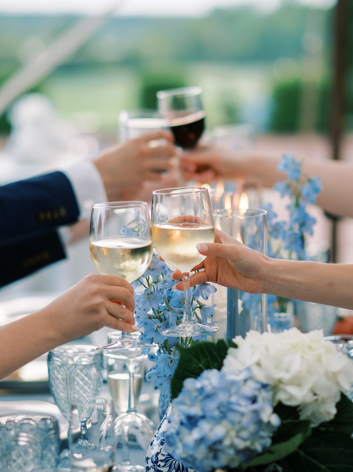 Charleston-and-Washington-DC-Wedding-Photographer-Brittland-Estates-Emily-and-Sam-75