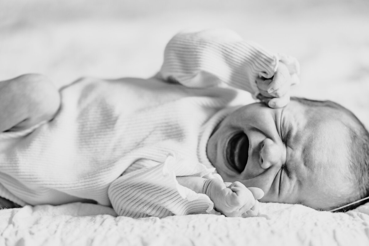 Baby Savannah00505-2