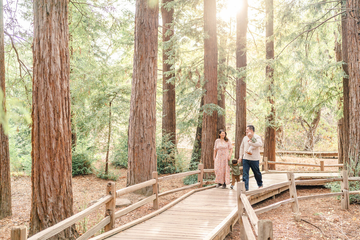a san francisco family walking through redwoods