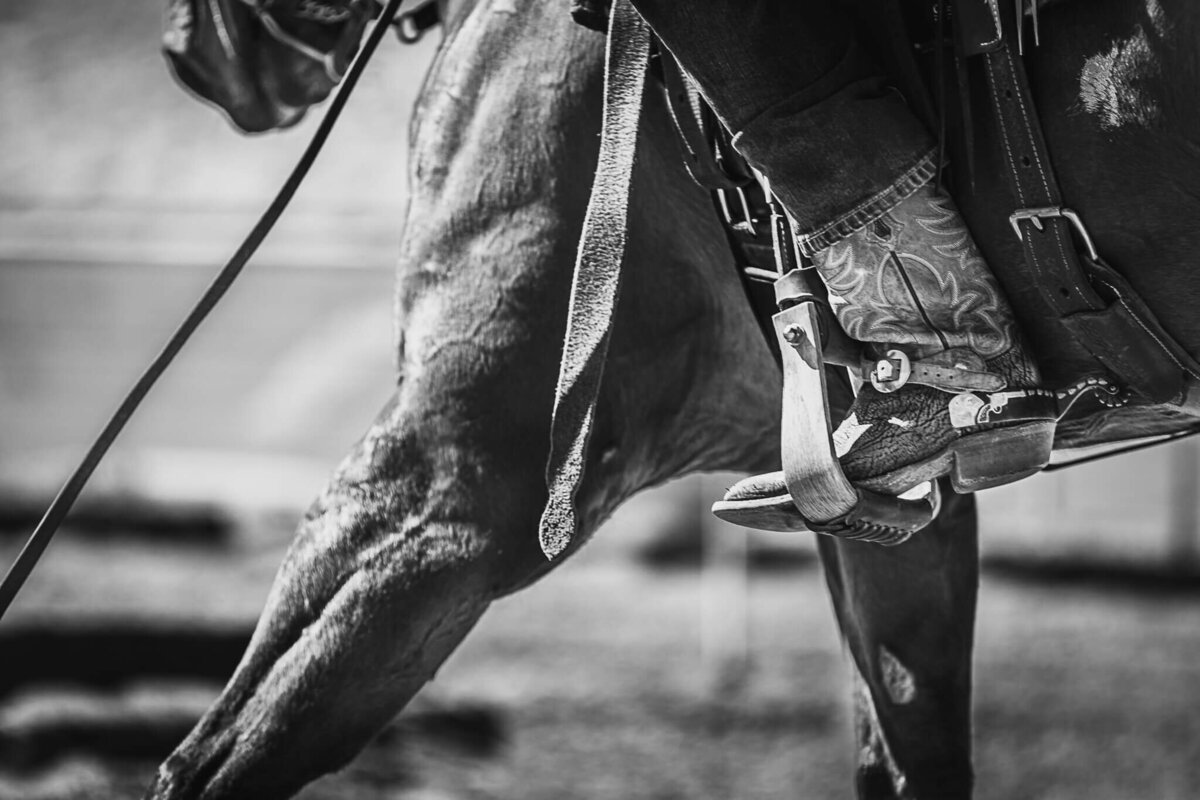 El-Paso-Texas-Horse-Show-Photographer-077