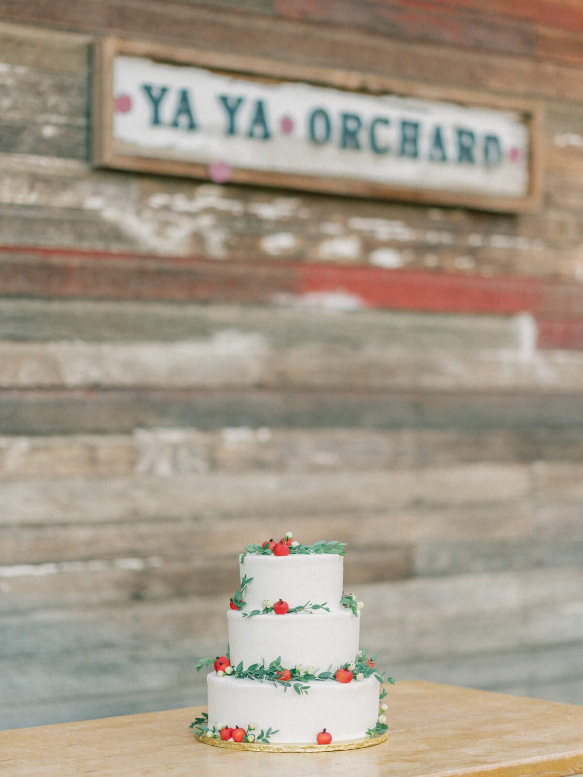 apple_orchard_wedding_Longmont_colorado_mary_ann_craddock_photography_0174