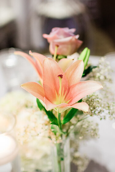 Horn Photography & Design V+B - 0186_