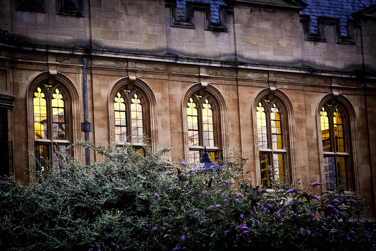 Oxford Windows at dusk-2