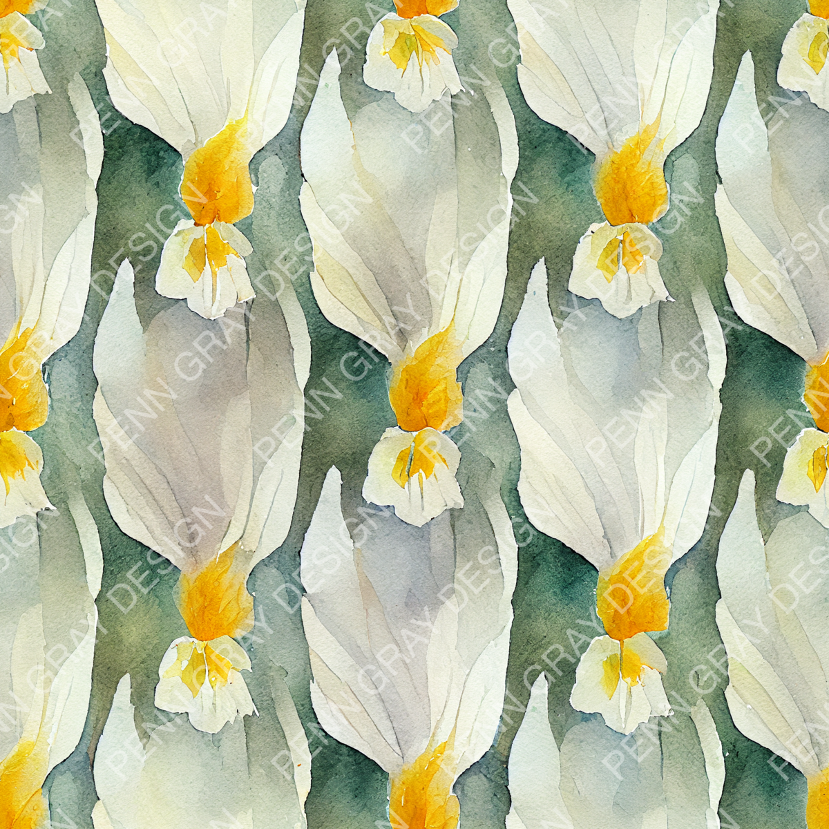 narcissus-06-(watermarked)