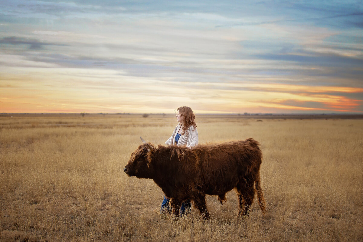 merel the highland cow and a young senior