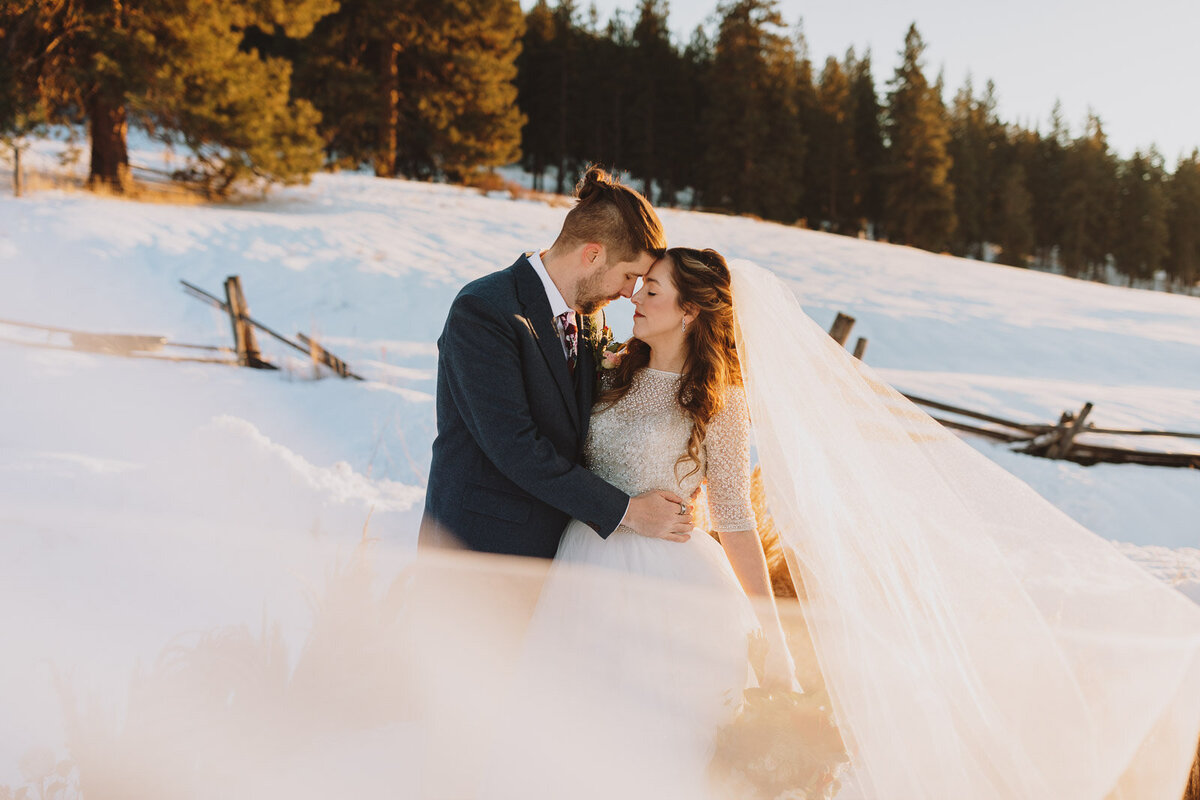 The-Cattle-Barn-Snowy-Wedding-Teresa-Bicchieri-Photo-1