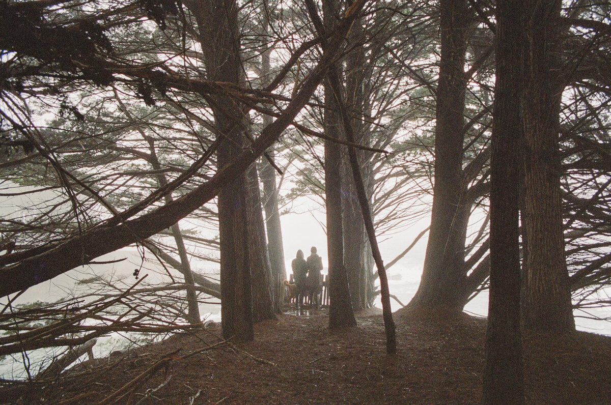 The Sea Ranch, 2024-6